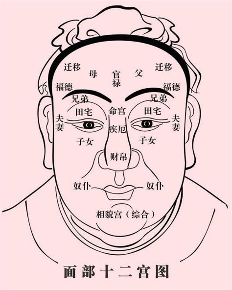 陰德紋長在何處|告訴你什麼是陰騭紋、陰德紋－－學佛網